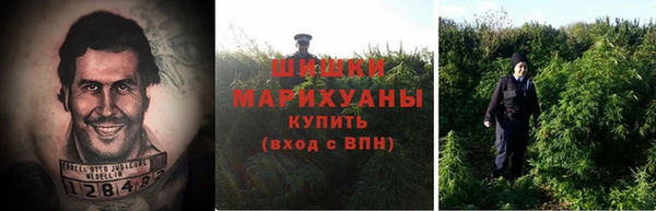 героин Алексин