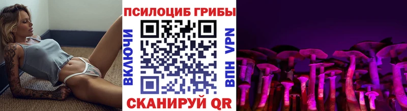 Псилоцибиновые грибы мухоморы  Купить закладки  Гурьевск 